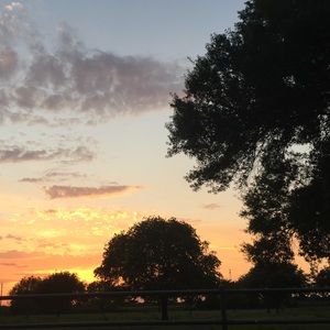 Meet your Posher, Bethann